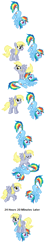 Size: 198x1054 | Tagged: safe, imported from derpibooru, derpy hooves, rainbow dash, pegasus, pony, comic, flying, picture for breezies, simple background, text, wat, white background