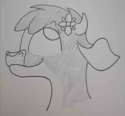 Size: 1500x1390 | Tagged: safe, artist:spoopygirl, imported from derpibooru, cow, them's fightin' herds, arizona (tfh), community related, flower, flower in hair, lineart, pencil shading, shading, traditional art