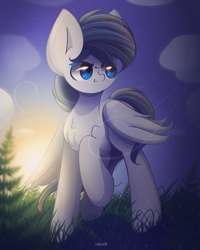 Size: 1800x2250 | Tagged: safe, artist:miryelis, imported from derpibooru, oc, oc only, pegasus, pony, cloud, commission, full body, grass, male, raised hoof, short hair, signature, sky, smiling, solo, standing, sun, sunset, wings