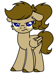 Size: 300x400 | Tagged: safe, artist:fuckomcfuck, imported from derpibooru, oc, oc:doodles, pegasus, pony, angry, base used, female, floppy ears, looking at you, simple background, solo, transparent background