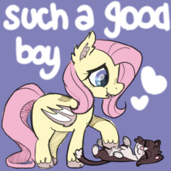 Size: 600x600 | Tagged: safe, artist:lastunicorn666, imported from derpibooru, fluttershy, bat pony, cat, pony, bat ponified, cute, fangs, flutterbat, heart, missing cutie mark, pet oc, purple background, race swap, shyabetes, simple background