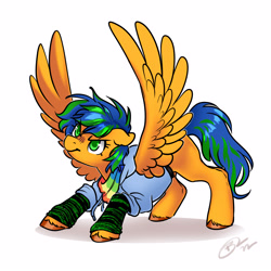 Size: 3000x3000 | Tagged: safe, artist:opalacorn, imported from derpibooru, oc, oc only, pegasus, pony, clothes, hoodie, simple background, solo, spread wings, white background, wings