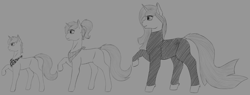 Size: 5150x1950 | Tagged: safe, artist:stray prey, imported from derpibooru, oc, oc only, oc:altus bastion, oc:lucent, oc:sunbeam, pony, unicorn, bodysuit, clothes, female, male, mare, monochrome, neckerchief, ponytail, simple background, size comparison, stallion