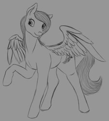 Size: 1152x1280 | Tagged: safe, artist:stray prey, imported from derpibooru, oc, oc only, oc:polly, pegasus, pony, solo