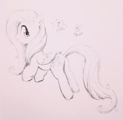 Size: 2048x2002 | Tagged: safe, artist:fipoki, imported from derpibooru, fluttershy, pegasus, pony, butt, cute, female, flutterbutt, folded wings, grayscale, looking back, mare, monochrome, plot, shyabetes, signature, simple background, sketch, solo, wings