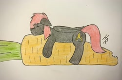 Size: 3750x2470 | Tagged: safe, artist:hardrock, imported from derpibooru, oc, oc:rosetta hask, pegasus, pony, carrot, food, pencil drawing, sleeping, solo, traditional art