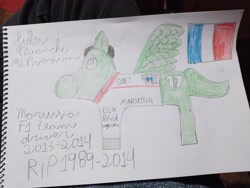 Size: 4000x3000 | Tagged: safe, artist:super-coyote1804, imported from derpibooru, pegasus, pony, book, drawing, flag, formula 1, france, french, french flag, jules bianchi, memorial, pencil drawing, photo, ponified, smiling, solo, traditional art