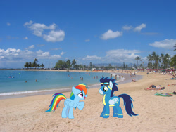 Size: 1600x1200 | Tagged: safe, artist:frownfactory, artist:sairoch, imported from derpibooru, rainbow dash, soarin', pegasus, pony, beach, clothes, female, goggles, hawaii, honolulu, irl, male, mare, photo, ponies in real life, shipping, soarindash, stallion, story included, straight, uniform, wonderbolts uniform