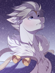 Size: 2500x3333 | Tagged: safe, artist:shchavel, imported from derpibooru, oc, earth pony, pony, bell, bust, chest fluff, colored, portrait, shading, short mane, simple background, snow, snowfall, solo, sternocleidomastoid