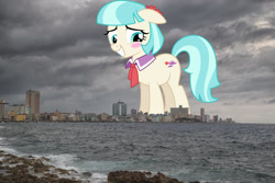 Size: 2048x1367 | Tagged: safe, artist:dashiesparkle, imported from derpibooru, coco pommel, earth pony, pony, blushing, cocobetes, cuba, cute, female, floppy ears, giant pony, giant/macro earth pony, giant/mega coco pommel, giantess, grin, havana, highrise ponies, irl, macro, mare, mega giant, photo, ponies in real life, smiling, solo