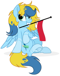 Size: 793x1007 | Tagged: safe, artist:brush-prism, imported from derpibooru, oc, oc only, oc:brush prism, pegasus, pony, flag, mouth hold, poland, polish flag, polish national independence day, simple background, solo, transparent background