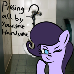 Size: 5000x5000 | Tagged: safe, artist:houndy, imported from derpibooru, oc, oc:jester quinn, bathroom, looking at you, meme, one eye closed, shitposting, smug, text, wink, winking at you