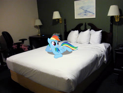 Size: 2937x2203 | Tagged: safe, artist:dashiesparkle, imported from derpibooru, rainbow dash, pegasus, pony, augusta, bed, female, high res, irl, lying down, maine, mare, photo, pillow, ponies in real life, prone, smiling