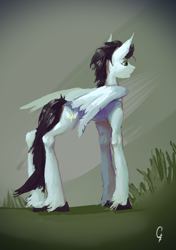 Size: 2028x2880 | Tagged: safe, artist:thelordgemm, imported from derpibooru, soarin', pegasus, pony, long legs, male, old cutie mark, skinny, solo, tall, thin