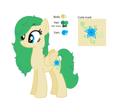 Size: 1280x1056 | Tagged: safe, artist:kiracatastic, imported from derpibooru, oc, oc only, pegasus, pony, female, mare, pegasus oc, reference sheet, simple background, solo, story included, white background, wings