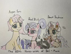 Size: 692x519 | Tagged: safe, artist:carty, imported from derpibooru, oc, oc only, oc:aspen spots, oc:caberneigh, oc:donut daydream, oc:eclair, oc:odiferous sukanku, oc:rosé blush, traditional art