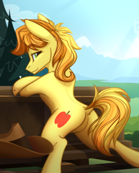 Size: 1668x2071 | Tagged: safe, artist:alrumoon_art, imported from derpibooru, braeburn, earth pony, pony, bench, butt, cel shading, commission, looking at you, male, missing accessory, outdoors, plot, shading, solo, stallion, stupid sexy braeburn, tail, two toned mane, two toned tail, ych result