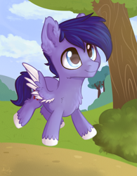 Size: 1389x1780 | Tagged: safe, artist:kaylemi, imported from derpibooru, oc, oc only, pegasus, pony, chest fluff, colt, foal, male, pegasus oc, solo