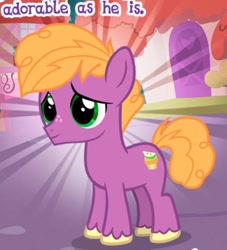 Size: 450x496 | Tagged: safe, imported from derpibooru, little mac, earth pony, pony, colt, cropped, cute, foal, gameloft, male, meme, my little pony: magic princess, solo, unshorn fetlocks, wow! glimmer