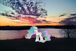 Size: 2048x1367 | Tagged: safe, artist:90sigma, imported from derpibooru, princess celestia, alicorn, pony, butt, crown, female, hoof shoes, irl, jewelry, mare, nebraska, omaha, peytral, photo, plot, ponies in real life, regalia