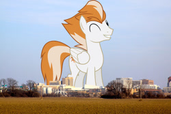 Size: 1024x683 | Tagged: safe, artist:chainchomp2 edits, artist:jaredking779, edit, imported from derpibooru, fire streak, pegasus, pony, cute, giant pegasus, giant pony, highrise ponies, irl, macro, male, mega giant, memphis, one eye closed, photo, ponies in real life, smiling, solo, stallion, tennessee, wink