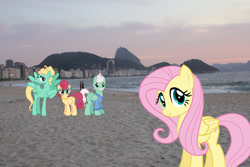 Size: 2048x1365 | Tagged: safe, artist:cheezedoodle96, artist:dashiesparkle, edit, imported from derpibooru, fluttershy, gentle breeze, posey shy, zephyr breeze, pegasus, pony, beach, brazil, clothes, family, female, fluttershy's parents, glasses, irl, jewelry, male, mare, necklace, pearl necklace, photo, ponies in real life, rio de janeiro, shipping, shys, stallion, story included, straight, sweater, the shy family