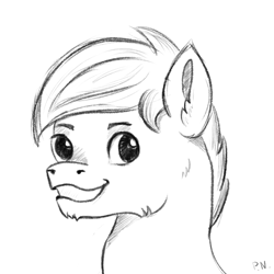 Size: 4134x4134 | Tagged: safe, artist:palettenight, imported from derpibooru, pony, bust, commission, portrait, sketch, smiling, solo, your character here