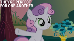 Size: 1920x1080 | Tagged: safe, edit, edited screencap, editor:quoterific, imported from derpibooru, screencap, sweetie belle, pony, unicorn, hearts and hooves day (episode), female, filly, flower, foal, grin, implied big macintosh, implied cheerilee, implied cheerimac, implied shipping, implied straight, raised hoof, shipper on deck, smiling, solo, vase