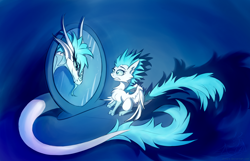 Size: 1680x1080 | Tagged: safe, artist:oksara, imported from derpibooru, oc, oc only, oc:patch, dracony, dragon, feathered dragon, hybrid, pony, :p, chest fluff, duality, ear fluff, gritted teeth, lidded eyes, long tail, mirror, reflection, scared, sitting, smiling, smirk, solo, spread wings, tail, teeth, tongue out, wide eyes, wings