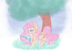 Size: 1024x745 | Tagged: safe, artist:polyblank, imported from derpibooru, fluttershy, bird, pegasus, pony, grass, solo, tree, under the tree