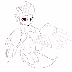 Size: 3000x3000 | Tagged: safe, artist:anti1mozg, imported from derpibooru, zipp storm, pegasus, pony, adorazipp, belly button, chest fluff, cute, eyebrows, female, fluffy, g5, high res, looking at you, mare, monochrome, partial color, raised hooves, simple background, slim, solo, spread wings, unshorn fetlocks, white background, wings