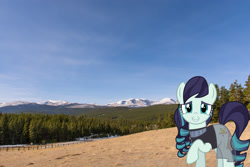 Size: 2048x1365 | Tagged: safe, artist:jaredking779, artist:jhayarr23, imported from derpibooru, coloratura, earth pony, pony, clothes, female, irl, looking at you, mare, mountain, mountain range, photo, ponies in real life, see-through, smiling, solo, story included, tree, wyoming