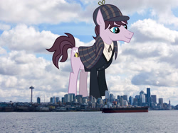 Size: 1920x1440 | Tagged: safe, artist:jaredking779, artist:pink1ejack, imported from derpibooru, earth pony, pony, background pony, clothes, deerstalker, giant pony, giant/macro earth pony, hat, highrise ponies, irl, macro, male, mega giant, natural deduction, photo, ponies in real life, seattle, sherlock holmes, stallion, washington