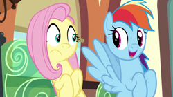 Size: 1920x1080 | Tagged: safe, imported from derpibooru, screencap, fluttershy, rainbow dash, pegasus, pony, buckball season, season 6, 1080p, cute, dashabetes, duo, duo female, female, friendship express, locomotive, looking at each other, looking at someone, mare, steam locomotive, train