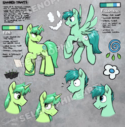 Size: 2965x3000 | Tagged: safe, artist:selenophile, imported from derpibooru, oc, oc only, pegasus, pony, unicorn, reference sheet, watermark