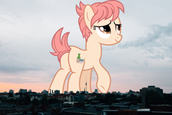 Size: 2048x1365 | Tagged: safe, artist:jaredking779, artist:luckreza8, imported from derpibooru, raspberry vinaigrette, earth pony, pony, background pony, berlin, butt, female, germany, giant pony, giant/macro earth pony, giantess, highrise ponies, irl, macro, mare, mega giant, photo, plot, ponies in real life, smiling, solo