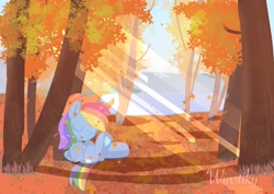 Size: 3508x2480 | Tagged: safe, artist:winstiky, imported from derpibooru, rainbow dash, pegasus, pony, crepuscular rays, eyes closed, female, forest, hat, heart, hoof heart, leaves, mare, sleeping, solo, spoilers for another series, tree