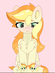 Size: 1080x1440 | Tagged: safe, artist:sodapop sprays, imported from derpibooru, oc, oc:bricc, oc:sodapop sprays, pegasus, pony, blushing, bricc, chest fluff, ear fluff, front view, looking down, sitting