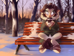 Size: 2600x1985 | Tagged: safe, artist:zlatavector, imported from derpibooru, oc, oc only, bird, earth pony, pony, bench, coffee cup, cup, forest, male, park, parka, raffle prize, snow, solo, stallion, tree, winter