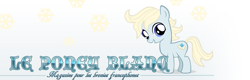 Size: 935x299 | Tagged: safe, imported from derpibooru, oc, oc only, oc:brave, earth pony, pony, 2012, banner, earth pony oc, french, le poney blanc, meta, solo, text, website