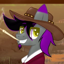 Size: 3651x3651 | Tagged: safe, artist:chubbehbunneh16, imported from derpibooru, oc, oc:daniel vibe, pony, django unchained, facial hair, goatee, gradient ear, hat, solo