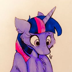 Size: 3024x3024 | Tagged: safe, artist:l0rdeden, imported from derpibooru, twilight sparkle, alicorn, pony, cheek fluff, chest fluff, female, solo, traditional art, twilight sparkle (alicorn)