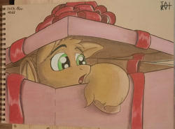 Size: 2428x1800 | Tagged: safe, artist:tai kai, imported from derpibooru, pony, bow, box, christmas gift, pony in a box, pony present, present, solo, surprised, traditional art, unshorn fetlocks, wondering