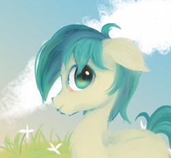 Size: 1080x1000 | Tagged: source needed, safe, artist:woolen cloe, imported from derpibooru, sandbar, earth pony, pony, cloud, floppy ears, grass, looking at you, male, profile, sky, smiling, smiling at you, solo