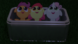 Size: 1280x720 | Tagged: safe, artist:vulchrys, imported from derpibooru, apple bloom, scootaloo, sweetie belle, earth pony, pegasus, pony, unicorn, 3d, blender, blender cycles, box, cutie mark crusaders, grass, looking up, night, trio