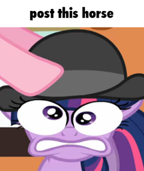 Size: 369x439 | Tagged: safe, edit, edited screencap, imported from derpibooru, screencap, pinkie pie, twilight sparkle, earth pony, horse, pony, unicorn, mmmystery on the friendship express, bowler hat, caption, cropped, floppy ears, hat, meme, shitposting, silly, silly pony, special eyes, text, unicorn twilight