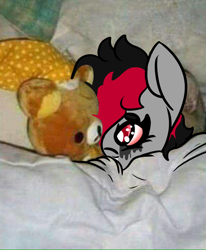 Size: 640x775 | Tagged: safe, artist:lazerblues, imported from derpibooru, oc, oc:miss eri, earth pony, pony, bed, in bed, plushie, ponified animal photo, solo, teddy bear