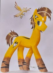 Size: 1630x2240 | Tagged: safe, artist:thecrimsonspark, imported from derpibooru, oc, oc only, oc:desert sun, bird, eagle, earth pony, brown mane, reference, reference sheet, solo, traditional art