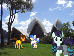 Size: 1024x768 | Tagged: safe, artist:90sigma, artist:dashiesparkle, imported from derpibooru, cheese sandwich, coloratura, sapphire shores, earth pony, pony, australia, clothes, female, irl, male, mare, photo, ponies in real life, see-through, stallion, story included, sydney, sydney opera house, trio