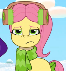 Size: 1613x1727 | Tagged: safe, imported from derpibooru, screencap, pipp petals, earth pony, pegasus, pony, spoiler:tyts01e37, annoyed, clothes, cropped, duo, duo female, earmuffs, eyebrows, female, frown, g5, looking at you, mare, my little pony: tell your tale, offscreen character, posey bloom, posey bloom is not amused, scarf, snow pun intended, solo focus, unamused, youtube link